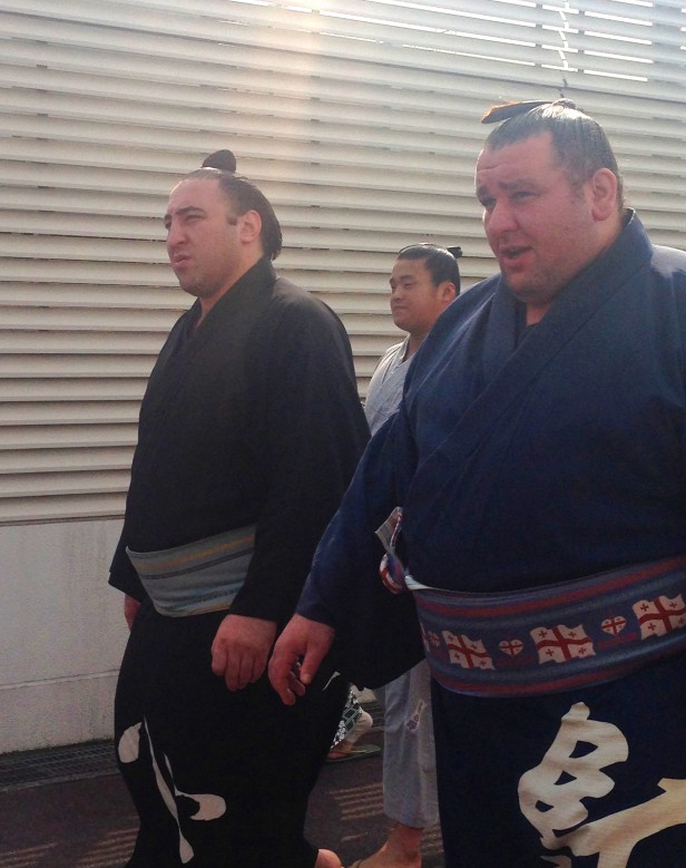 臥牙丸、栃ノ心