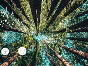 podcast236